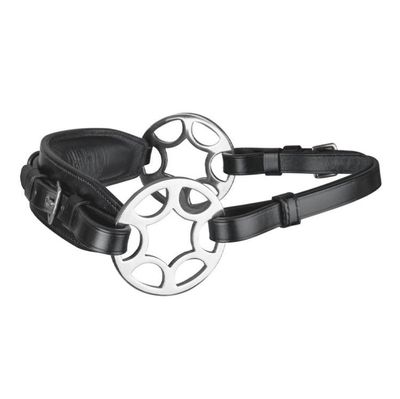 Waldhausen Bettlöst Träns