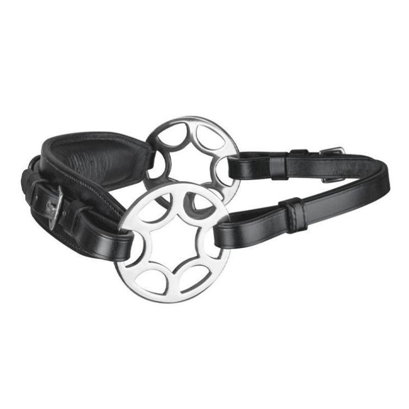 Waldhausen Bettlöst Träns