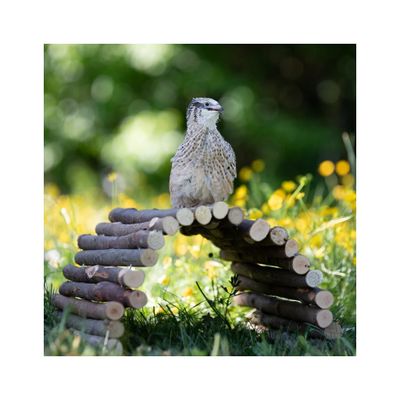 hyc3l4hsbqDvVJG1764324371