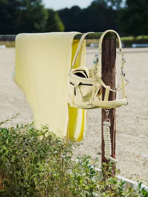 i2DTqoJ6vRe8ldh1764326546