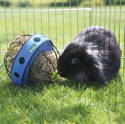 iKW69jEbE98P8Xv1764325368