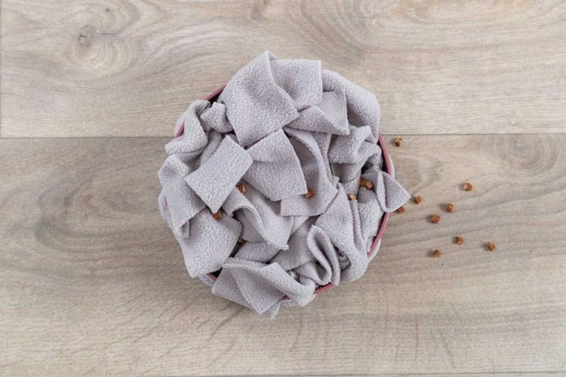 Cat Activity Hide'n'Sniff skål, plast, ø18 cm