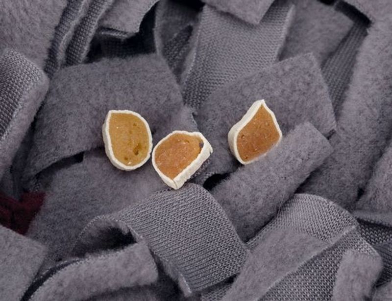 Dog Activity Sniffin Carpet Nivå 1  50x34cm