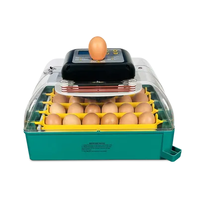 incubator-de-oua-eu-profi-c-24-sec-3-673de0dcd35a8-c4d58d78