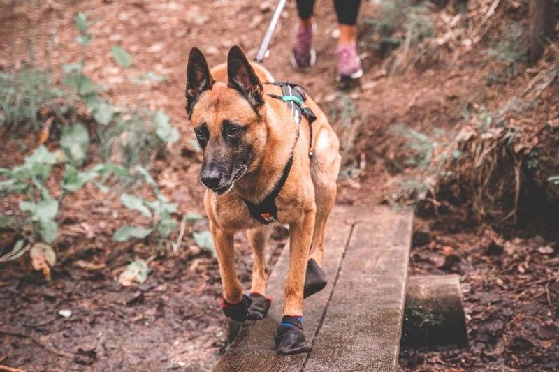 Non-Stop Solid sock, unisex, black, 4pk