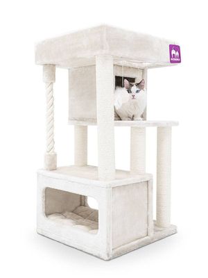 j5ZqDrwjjiwG1eq1766489452