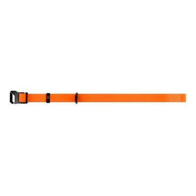 Evolutor Hundhalsband One Size 25mm 25-70cm (Orange)