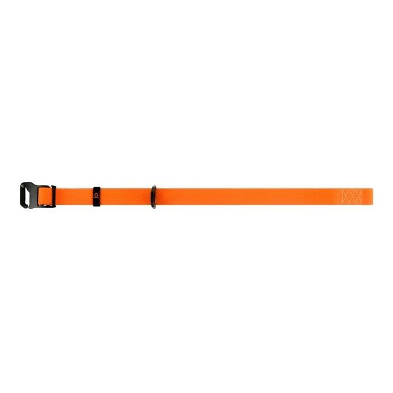 Evolutor Hundhalsband One Size 25mm 25-70cm (Orange)