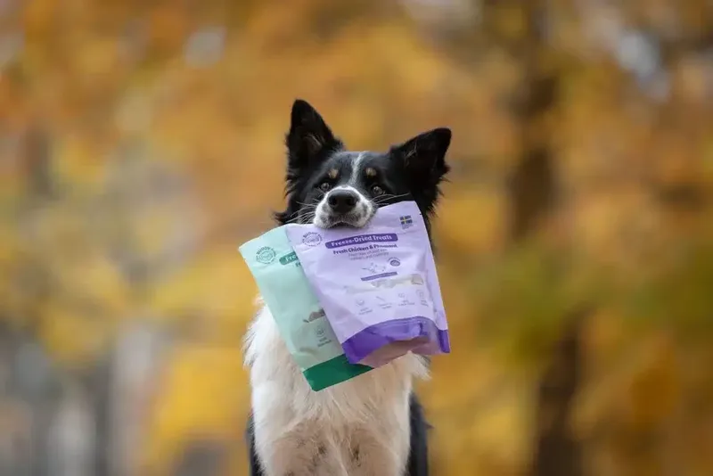 Buddy Freeze-dried Treats Raw Chicken & Phaesant 100g