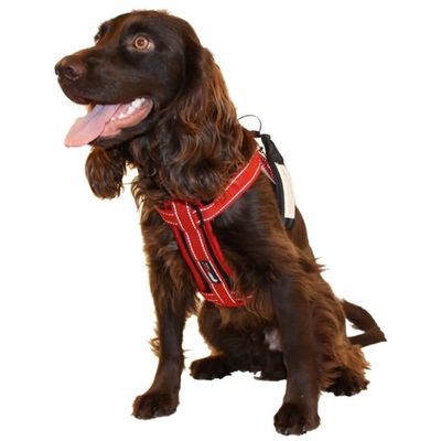 jPHeuFqDLjsZNHd1764327921