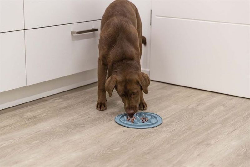 Slow Feed fodermatta, TPE, ø 24 cm