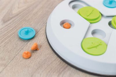 oEbWkM3QKKEAcJD1764326232