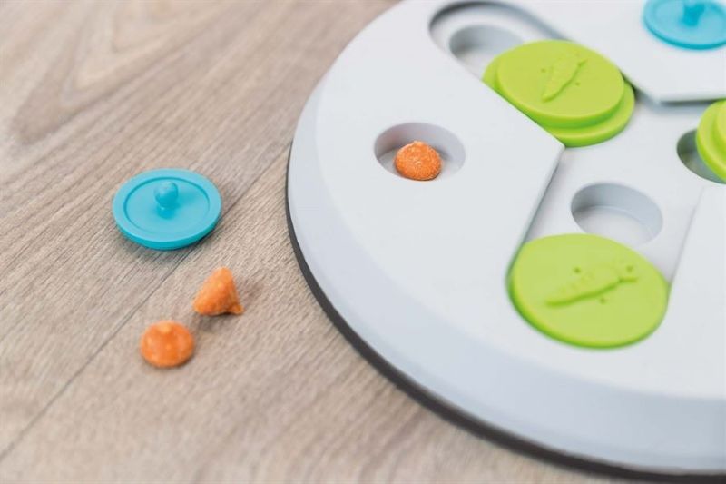 Aktivitetsspel Slide & Fun Board, plast, ø 23 cm