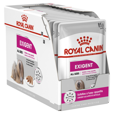 RC Wet Exigent 12x85g