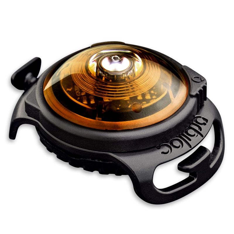 Orbiloc Dual