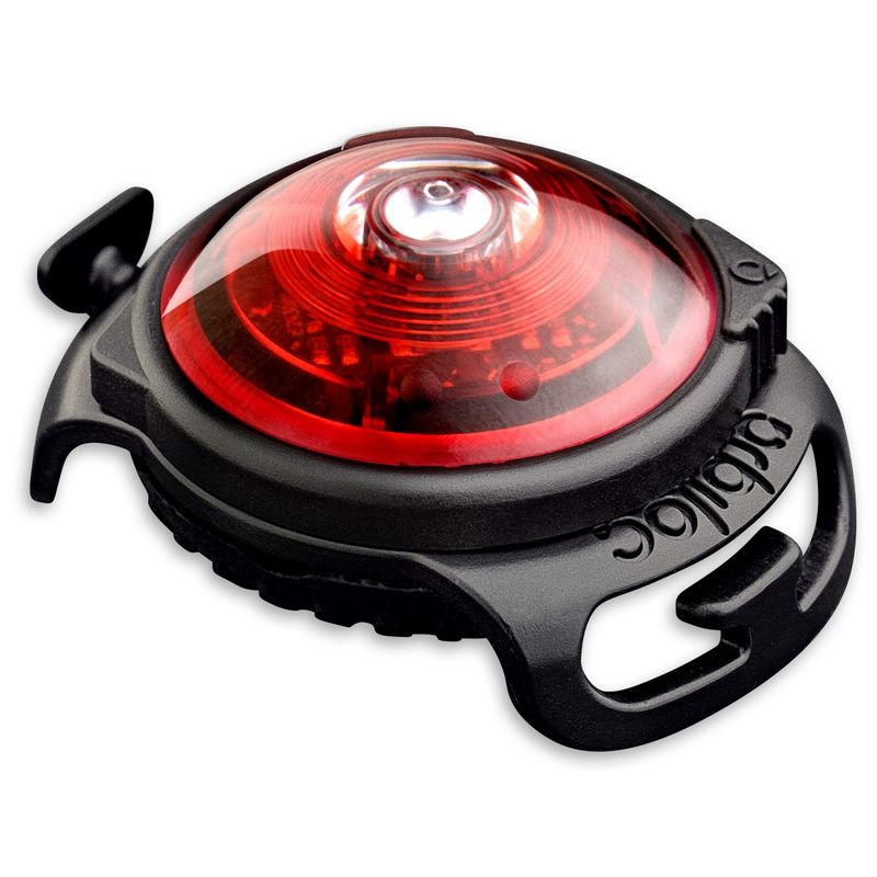 Orbiloc Dual
