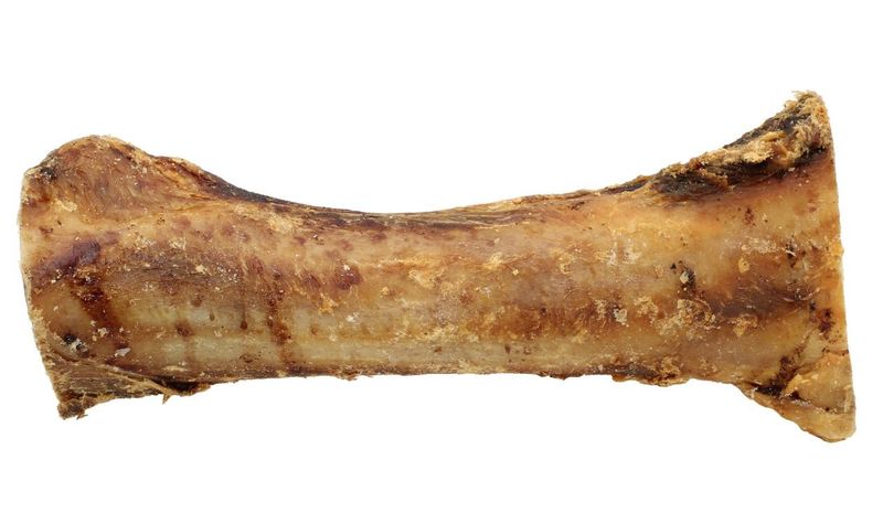 Torkat Märgben Oxe Sverige