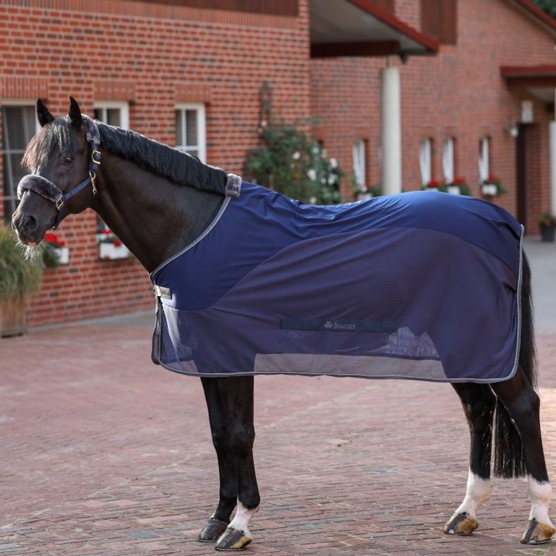 Bucas Show-Line Competition Cooler