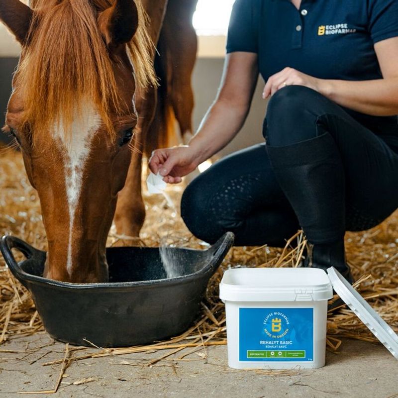 Biofarmab Rehalyt Basic 1,5kg