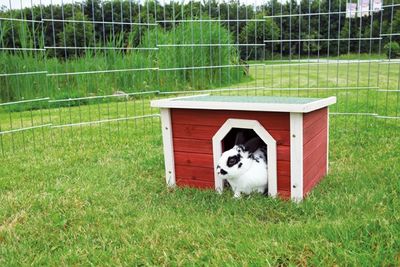 Smådjurshus Natura 50xh30x37cm röd/vit