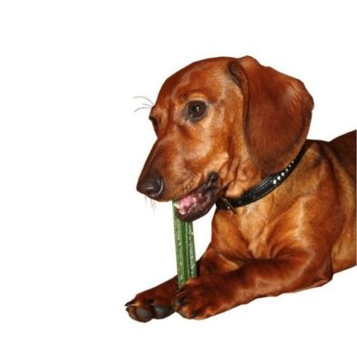 lh2cjTUEq6XiA0T1764327351