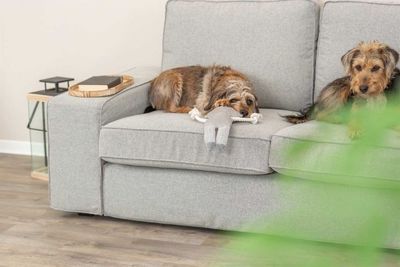 luveeXPU0paxPET1764327785