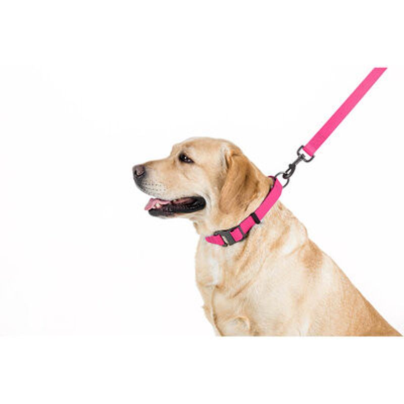 WAUDOG Waterproof Hundkoppel Rosa