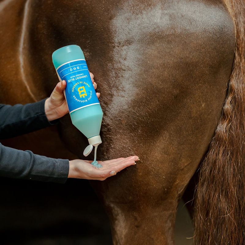 Liniment blue Biofarmab