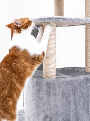 Klösträd Little Rock 99