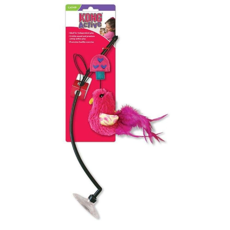 Kong Cat Connects Window Teaser