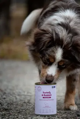 mh2Kq5pPAb2M6Qo1764327661