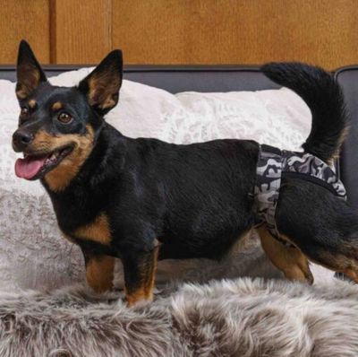 Tikskydd BRENDA Camo