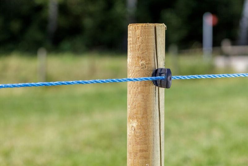 DeLaval Polyrep Standard BL8 200m