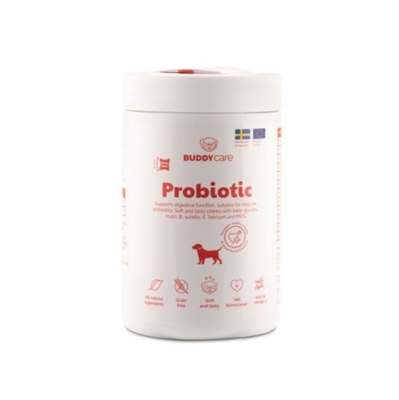 BuddyCare Probiotic 180g