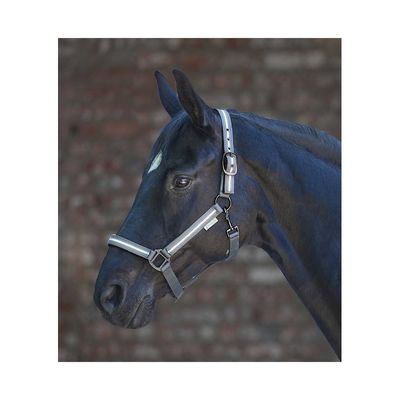 Waldhausen Reflexgrimma