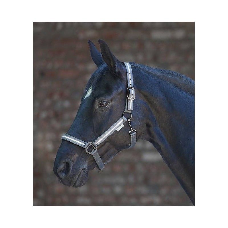 Waldhausen Reflexgrimma