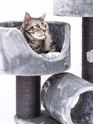 Klösträd Victoria 125