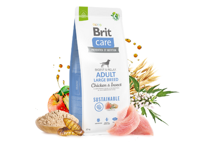 sMha1rZBp7d7x6T1764326399