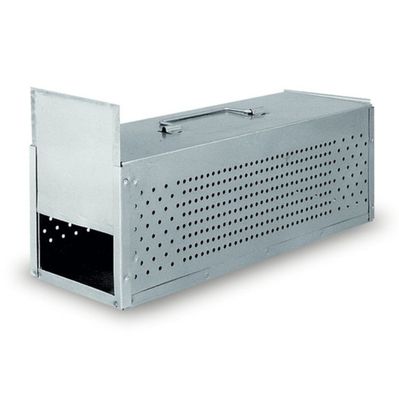 Transportbur för Duvor 2 fack