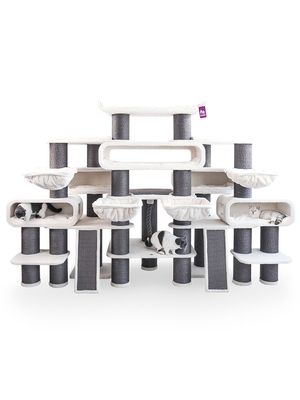 sPz48lsSew0wTiZ1766402815