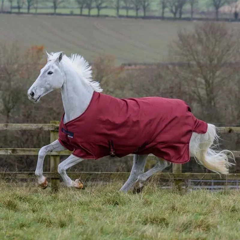 Bucas Freedom Turnout Light