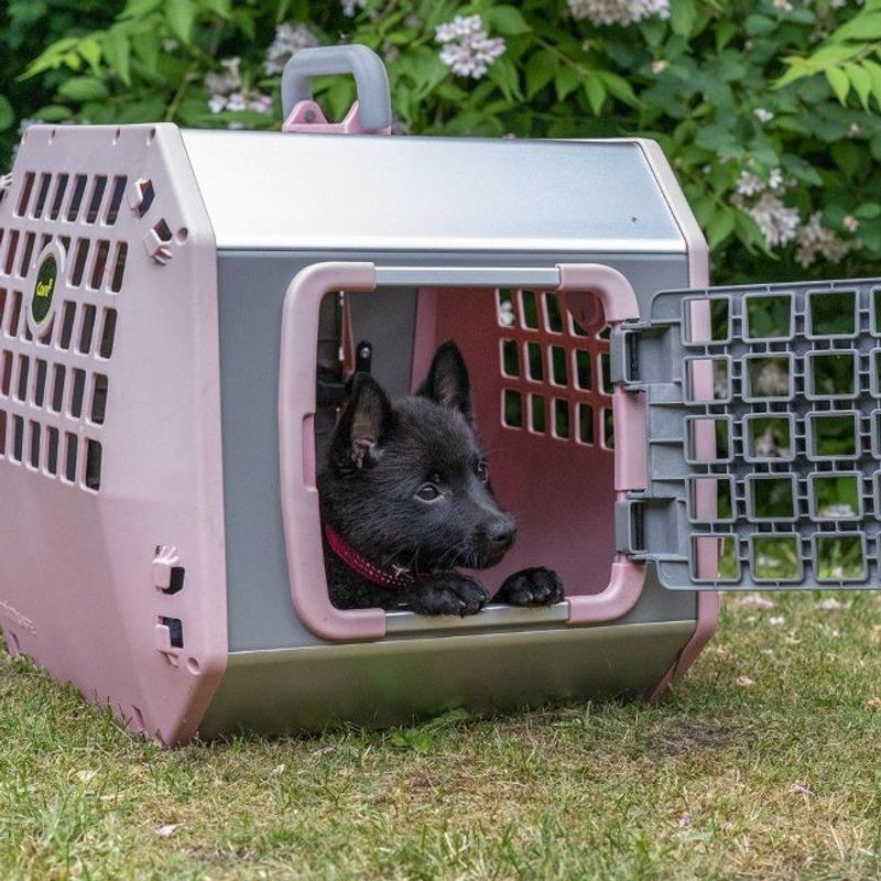 Mim Hundbur Care2 Large Rosa