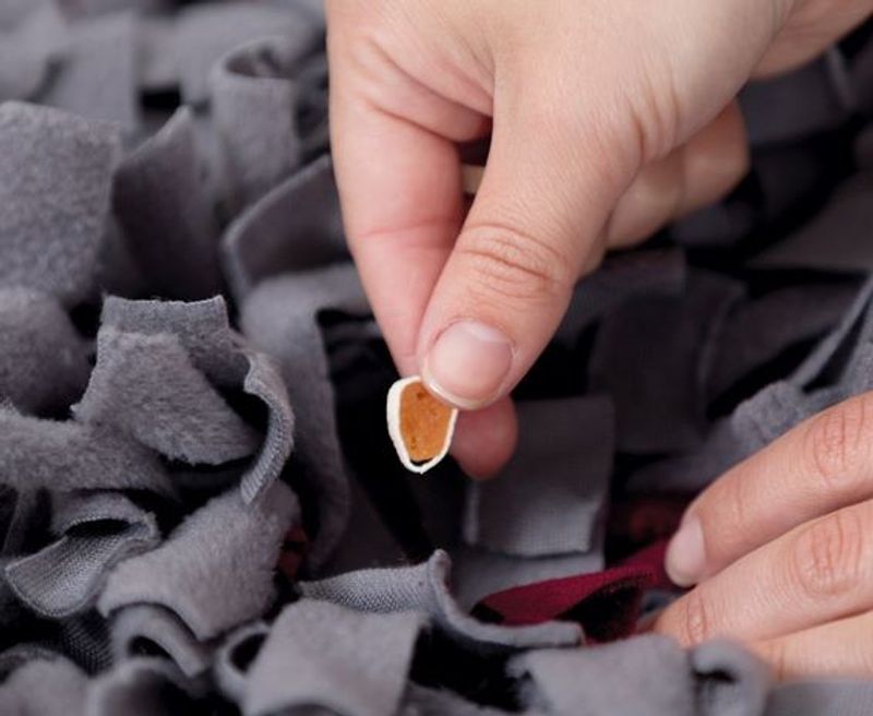 Dog Activity Sniffin Carpet Nivå 1  50x34cm