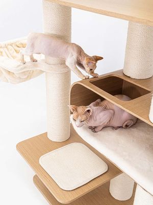 Klösträd Virgo 173