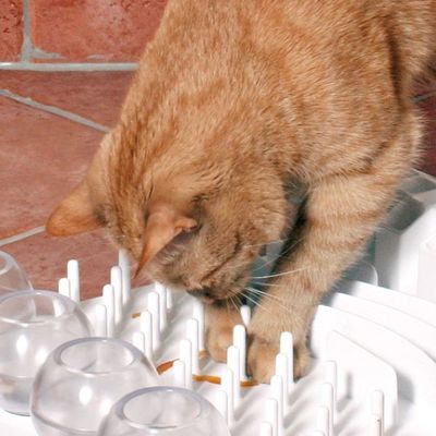 Aktiveringsleksak Fun Board 30x40cm