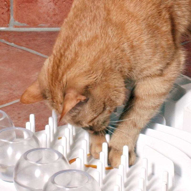 Aktiveringsleksak Fun Board 30x40cm