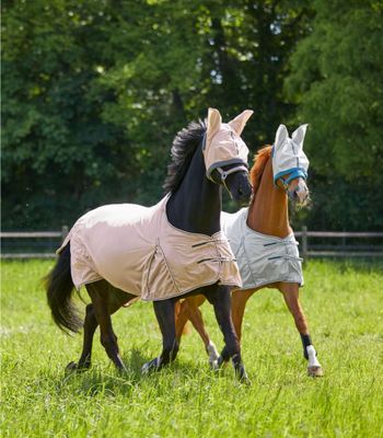 pdheJcwJfT5iWCY1764326535