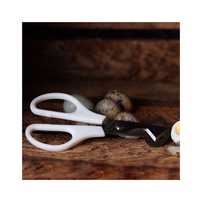 pkuauAHkVAAHLIn1764326408