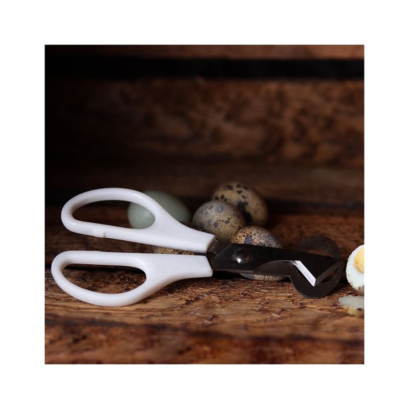 Sax för Vaktelägg Vit