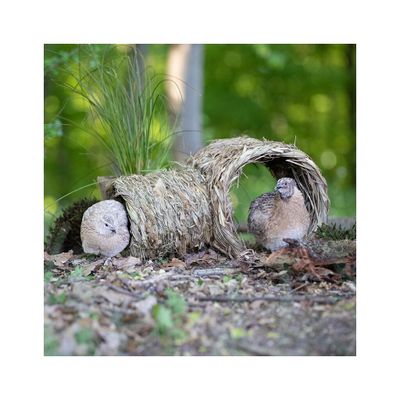 ppks1dg8RjRZNAC1764326416